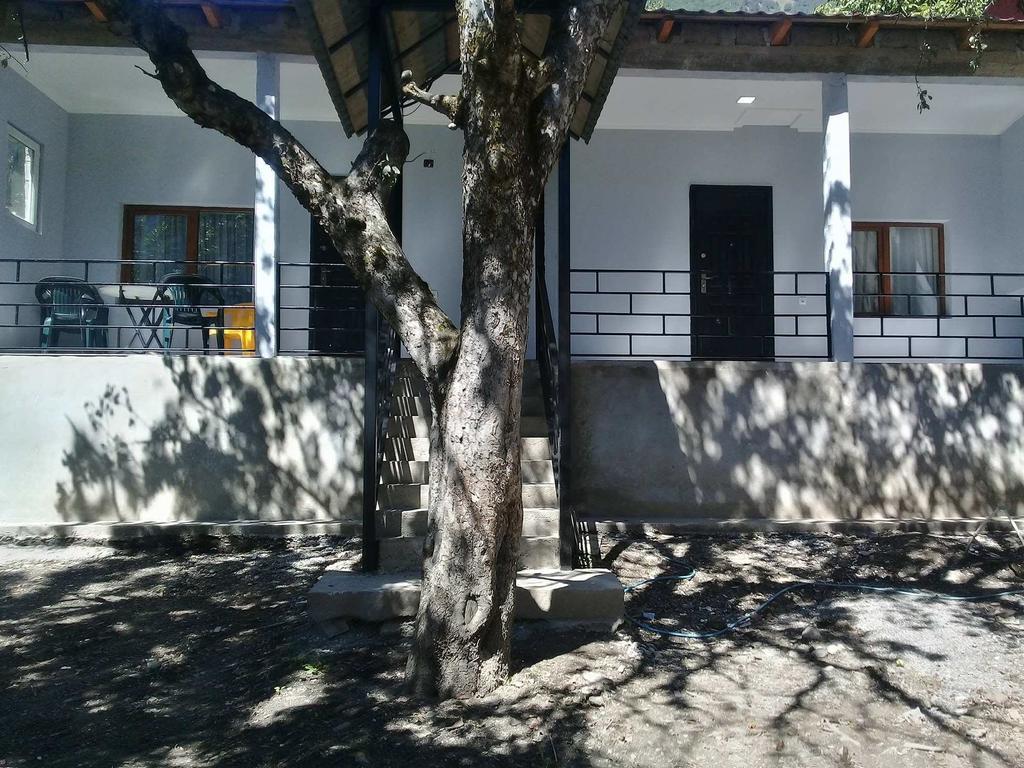 Guesthouse Ori Beli In ميستيا المظهر الخارجي الصورة